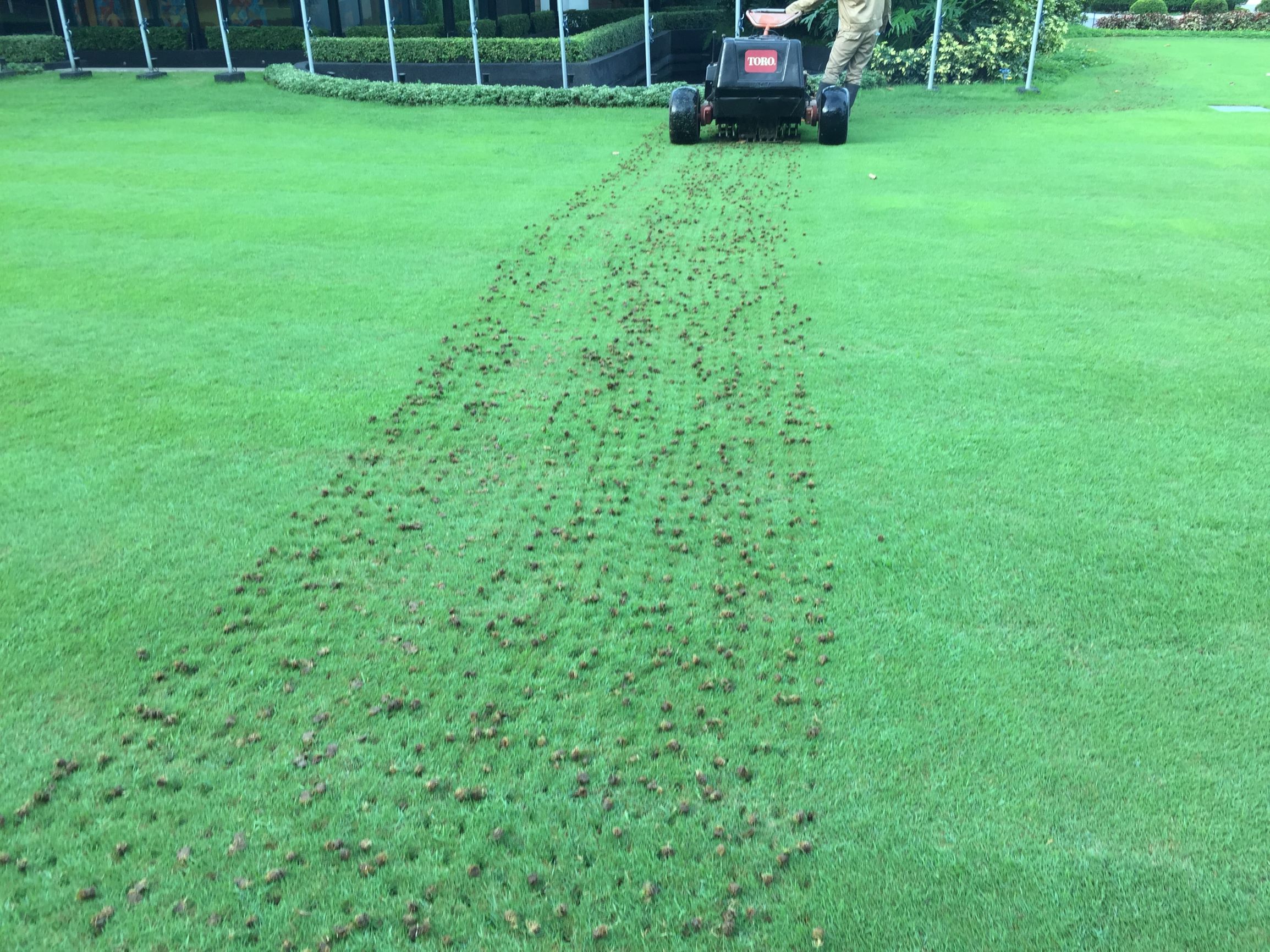 Sports Field Maintenance